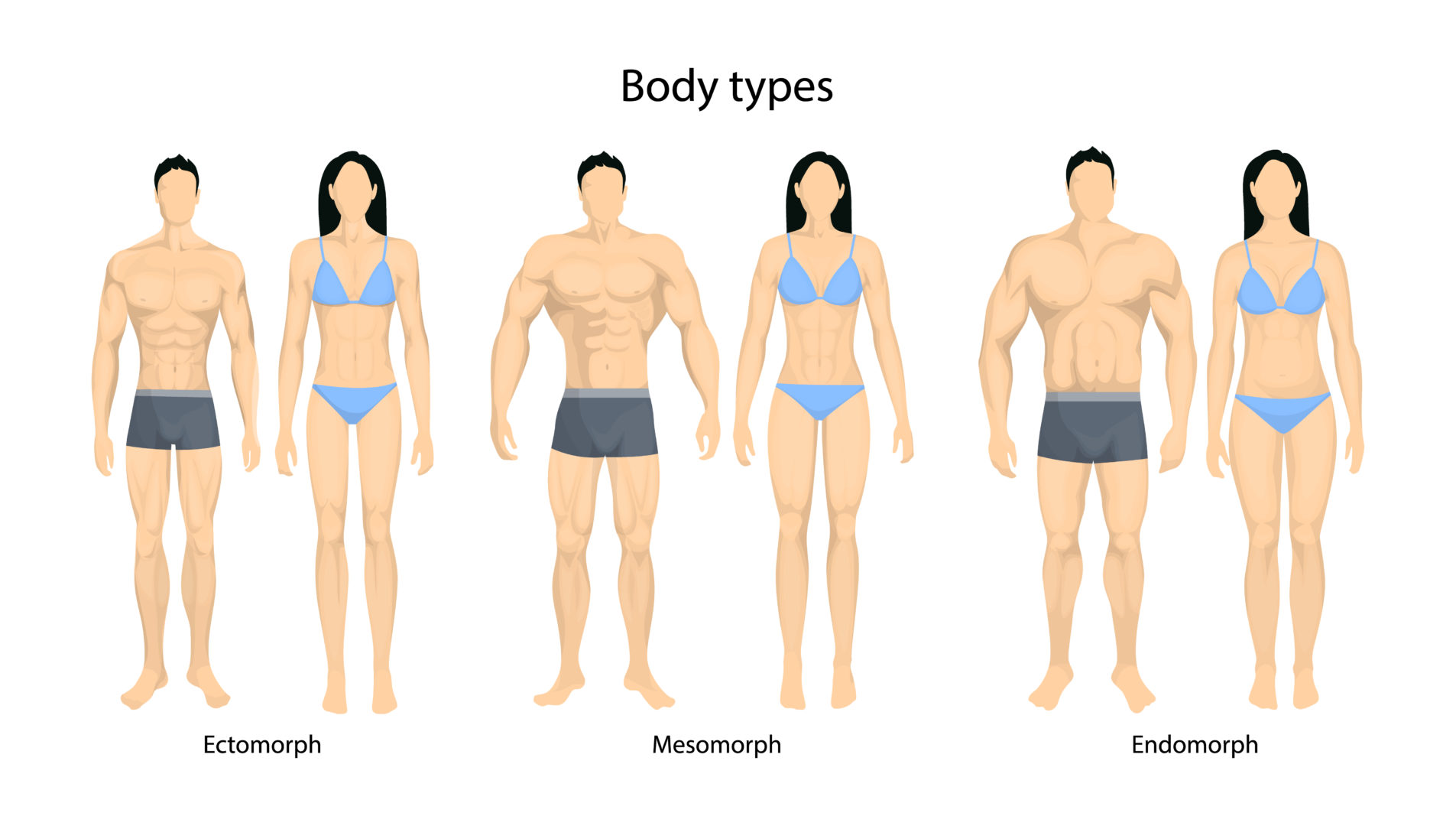 body types fitland