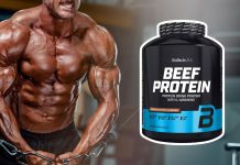 beef hovädzí proteín